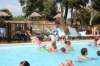 img_0368_small.jpg