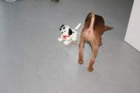 img_0660_small.jpg