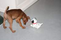 img_0661_small.jpg