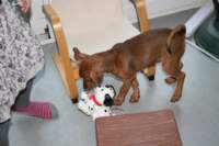 img_0664_small.jpg