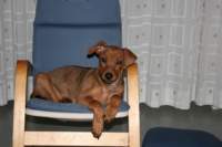 img_0666_small.jpg