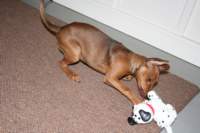 img_0706_small.jpg