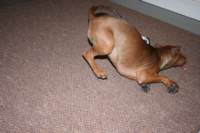 img_0709_small.jpg