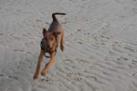 img_0726_small.jpg