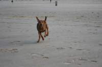 img_0727_small.jpg