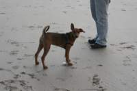 img_0731_small.jpg