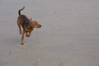img_0733_small.jpg