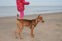 img_0742_small.jpg