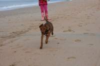 img_0746_small.jpg