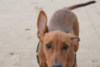 img_0751_small.jpg
