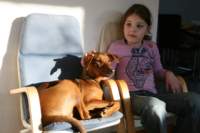 img_0807_small.jpg