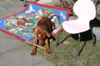 img_0809_small.jpg