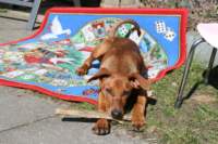 img_0810_small.jpg