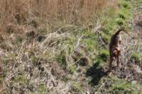 img_0815_small.jpg