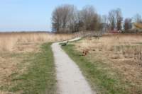 img_0816_small.jpg