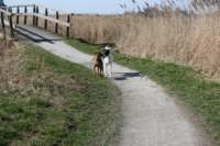 img_0820_small.jpg