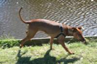 img_0823_small.jpg