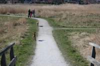 img_0825_small.jpg