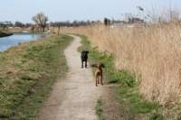 img_0828_small.jpg
