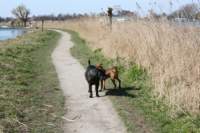 img_0829_small.jpg