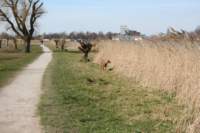 img_0831_small.jpg