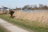 img_0832_small.jpg
