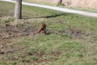 img_0833_small.jpg