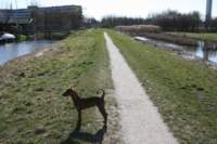img_0836_small.jpg