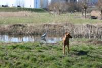 img_0838_small.jpg