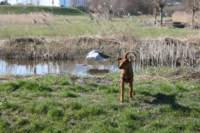 img_0839_small.jpg