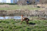 img_0840_small.jpg