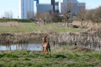 img_0841_small.jpg