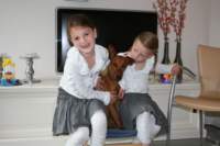 img_1238_small.jpg