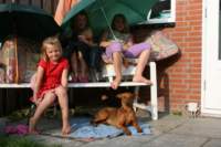 img_1354_small.jpg