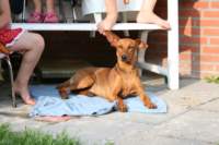 img_1358_small.jpg