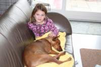 img_1841_small.jpg