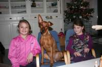 img_1985_small.jpg