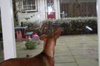 img_2010_small.jpg