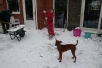 img_2045_small.jpg