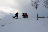 img_2056_small.jpg