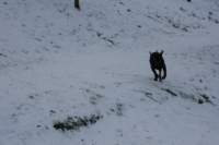 img_2061_small.jpg