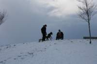 img_2067_small.jpg