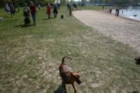 img_2255_small.jpg
