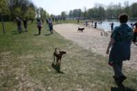 img_2256_small.jpg