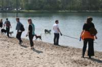 img_2258_small.jpg