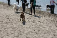 img_2260_small.jpg