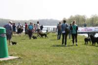 img_2265_small.jpg
