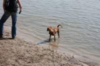 img_2267_small.jpg