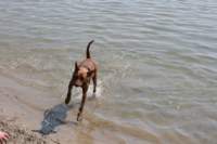 img_2268_small.jpg