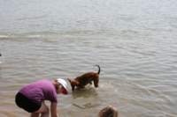img_2270_small.jpg